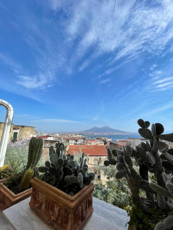 Alma De Templarsf - Stunning Design Home With Sea View And Terrace Naples Exterior photo